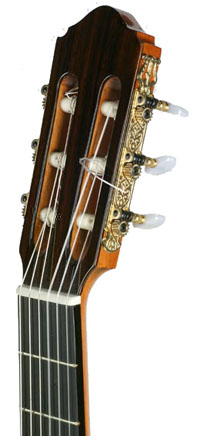 ef5n-2.jpg
